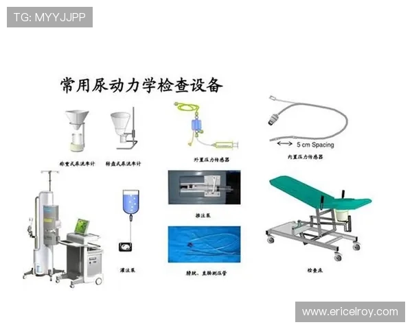 基于动作分解与动力学视角的游泳技术分析与竞技水平提升研究
