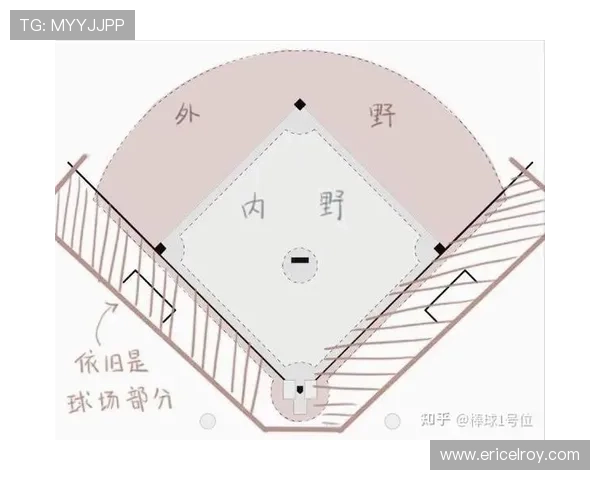 为什么棒球是最适合初学者入门的运动选择与理由解析全面入门指南详解