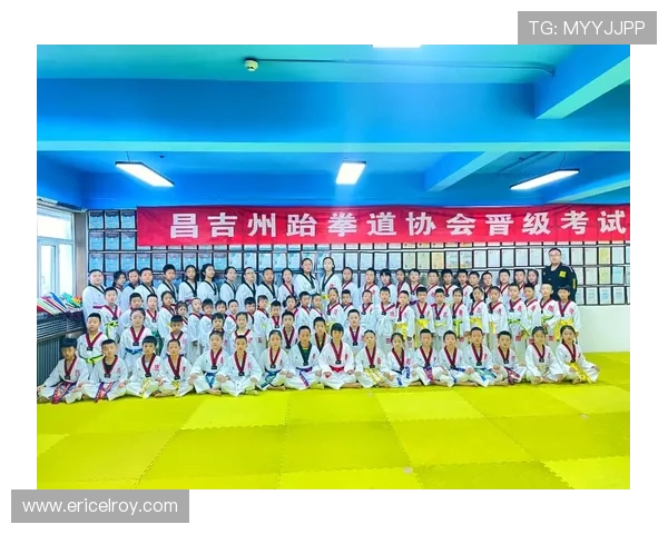 从零起步的跆拳道基础教程入门训练方法与实战要点解析全面系统篇